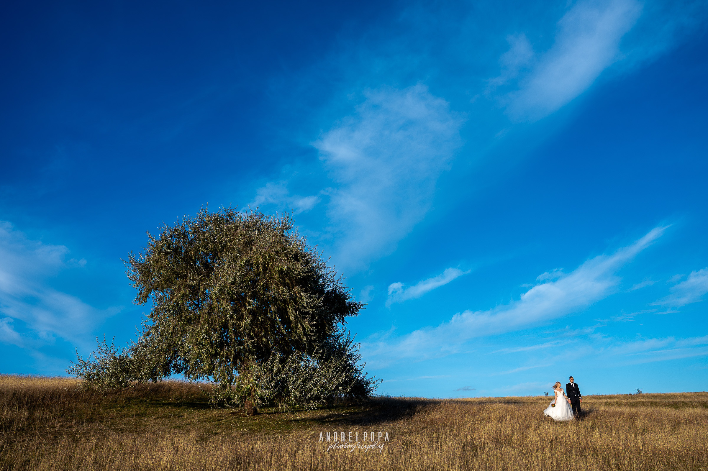 Paula&Cipri-36
